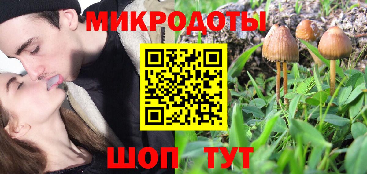 Галлюциногенные грибы мицелий Горячий Ключ
