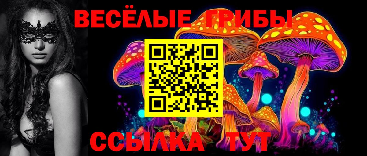 Галлюциногенные грибы мухоморы  купить наркотики сайты  Горячий Ключ  Псилоцибиновые грибы Magic Shrooms  Вход с VPN 